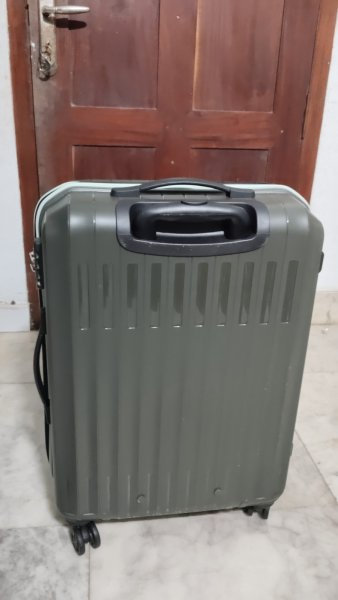 Genius by Safari Large Trolley Bag Green